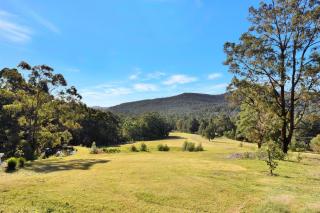 Hunter Valley Kangaroo Retreat with 60 Kangaroos - Mulbring - 9