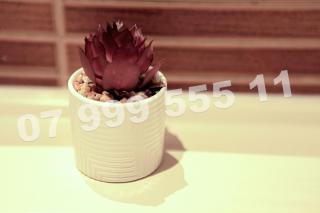 Cataleya Suites Aparthotel - Bucarest - 2
