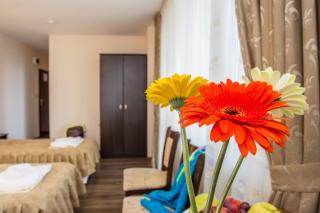 Family Hotel Saint Konstantin - Glavatartsi - 6