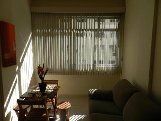 Apartamento Temporada Copacabana - Río de Janeiro - 4