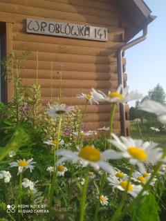 Wróblówka- domek na wsi - Parczew - 2