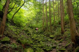 TSUDOI guest house - Unzen - 1