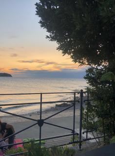 Hiša Tartinijeva - 8