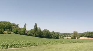 Gite Magic Couples only one level spacious Gite - - 8