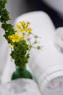 Perivoli Country Hotel & Retreat - Nafplio - 9