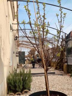 Maison entière aux portes du canal de Bourgogne - 1