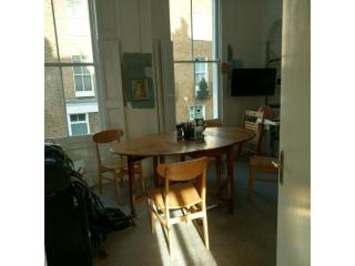 Central London flat. Georgian Terrace. Bright. - London - 7