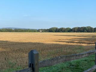 Flint House - Goodwood Events - Chichester - 4