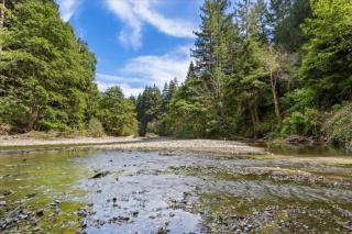 Cozy Creek Cabin - On Austin Creek Hot Tub - Dog Friendly - BBQ Grill - Fast WiFi - Cazadero - 3