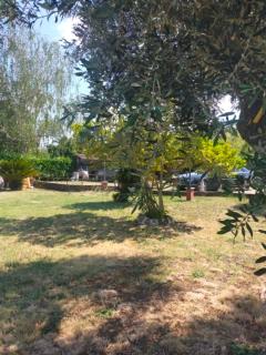 Independent villa with private beach on the lake - Bracciano - 5