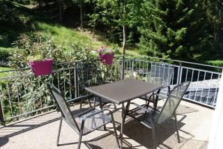 Schreiner - Daun - 6