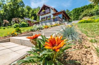 Holiday Home Mare near River - Karlovac - 8