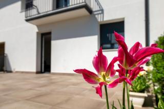 Apartamentos Herri Ondo REFUGIO CLIMATICO - 8