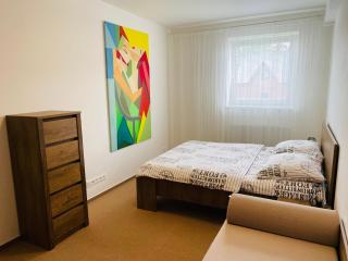 Apartmány VIA Klínovec - Loučná pod Klínovcem - 5