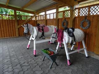 Bei Schütts - Spiel und Spaß im Garten rund um eine moderne Ferienwohnung - Janneby - 1
