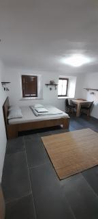 Apartment Slovan - Škofja Loka - 5