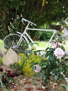 La Jacarandière - 1