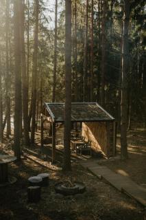 Private cosy forest cabin - 1