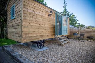 Rosemary - 1 Bedroom Shepherds Hut - Amroth - Amroth - 4