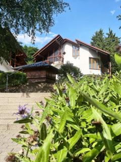 Viktor Apartment - Titisee-Neustadt - 1