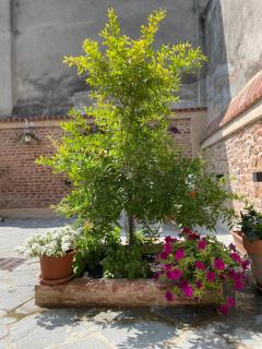 Residenza Nikol appartamento Giulia - 9