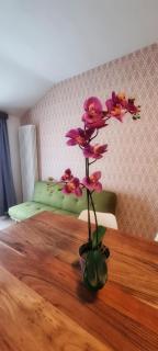 Casa Barcelli Sport & Family Apartments - Nago-Torbole - 9