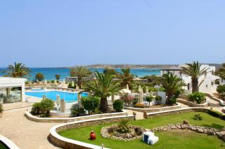 Irini Hotel - Afiartis - 8