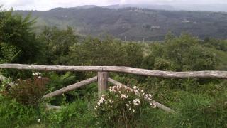 Holiday home Belvedere - 8