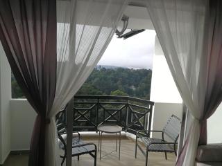 The Antler Silverpark Fraser's Hill - 1