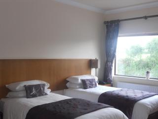 B&B The Silver Eel - Strokestown - 2