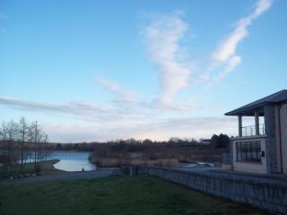 B&B The Silver Eel - Strokestown - 4