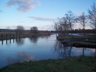 B&B The Silver Eel - Strokestown - 1