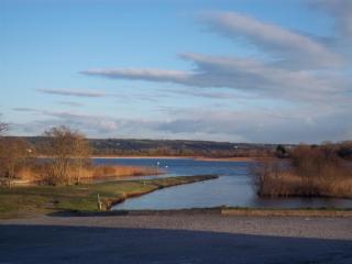 B&B The Silver Eel - Strokestown - 5