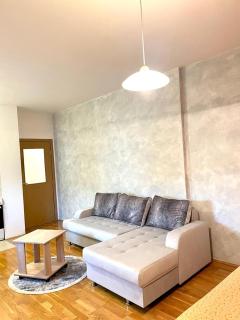 Nakii apartmani - Podgorica - 3