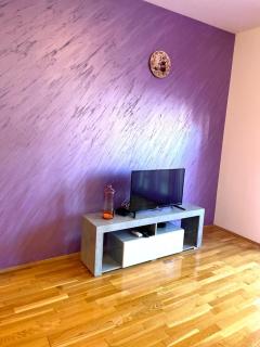 Nakii apartmani - Podgorica - 4