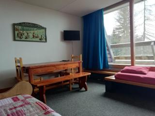Studio spacieux à Arc 1600 avec balcon, télé, wifi et animaux acceptés - FR-1-411-454 - Arc 1600 - 9