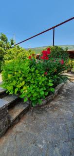 Villa Sunrise - Herceg Novi - 6