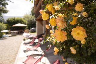 Ferme de Faustine - piscine - Saint-Gervais-les-Bains - 9