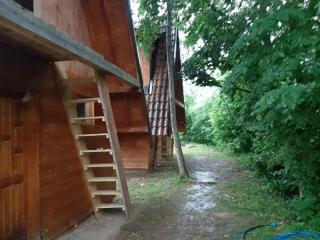 Adrenaline Rafting Camp Tara - 2