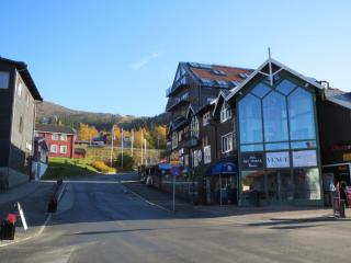 Åreguiderna - Bubblans lägenheter Åre Torg - Åre - 4
