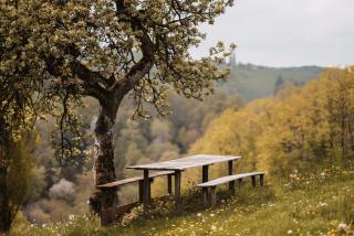 Ferienwohnung Perner - die Huabm - 7