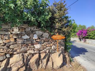 Kontoudi's House - Áno Sangríon - 7