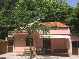 La Casetta nel Bosco per Turisti - Castelbuono - 9