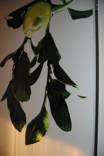 Case Giannone - Santa Flavia - 1