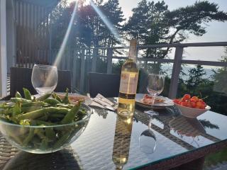 APARTAMENT BALTICHOFF PREMIUM with Sea View, Basen, Spa, Gym, Sauna, hala sportowa z kortem tenisowym - 8