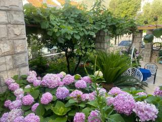 King's Landing Esma' house - 5