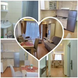 Apartman Gajic Vrnjacka banja - Vrnjačka Banja - 8
