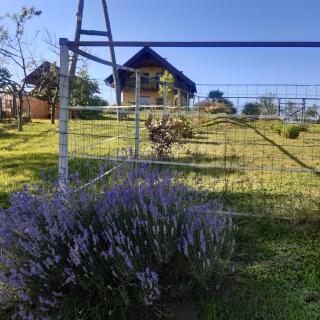 Sovica holiday home & tree house - Sveti Jurij ob Ščavnici - 3