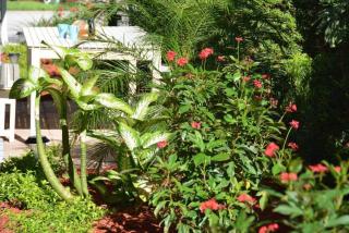 Steps to Sand and Sea 1 - Fort Lauderdale - 2