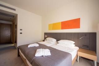 Terme Tuhelj Hotel Well - Tuheljske Toplice - 8